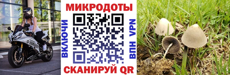 Галлюциногенные грибы Cubensis  MEGA tor  Мамадыш 